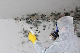 Best Biohazard Mold Removal  in Neenah, WI